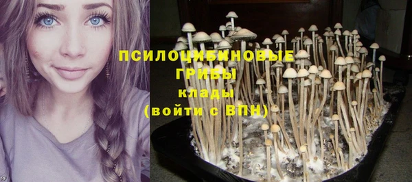 спайс Абдулино